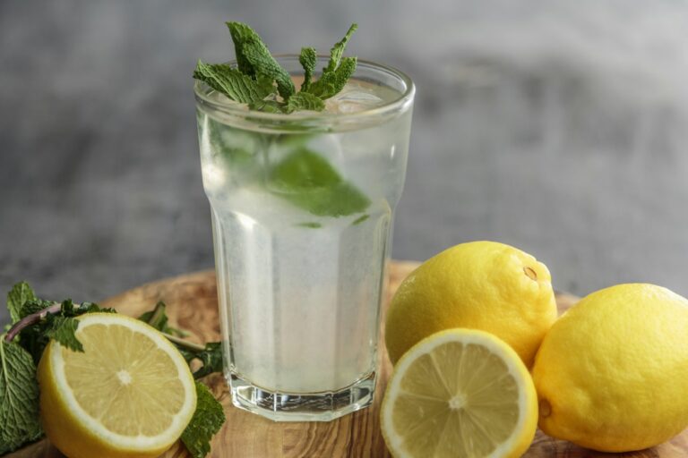 Zitronensaft einfrieren – Glas Zitronenlimonade mit Minze und frischen Zitronen